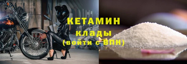 прущие грибы Абаза