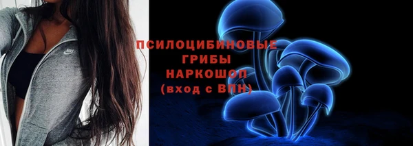 дурь Няндома