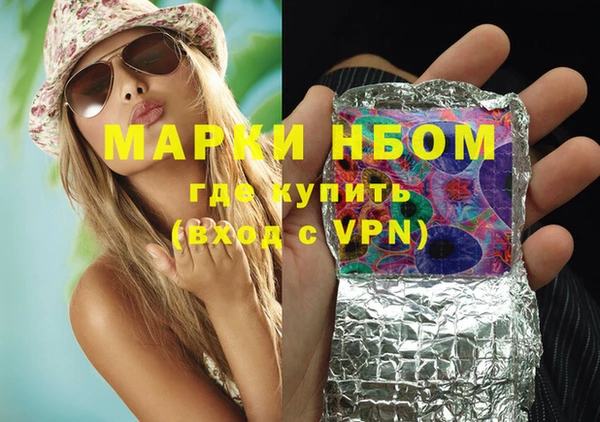 дурь Няндома