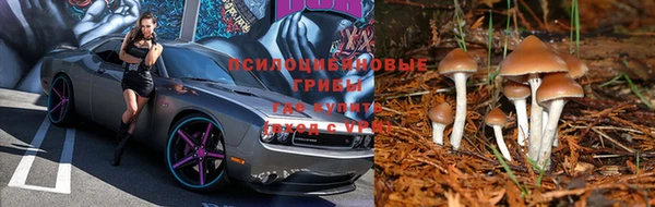 герыч Нязепетровск