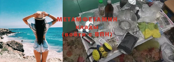 прущие грибы Абаза