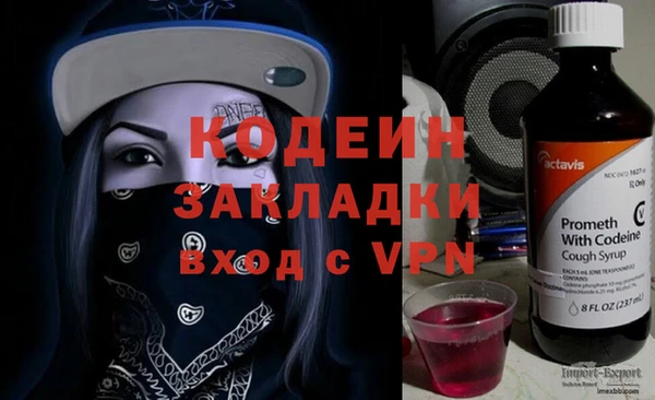 дурь Няндома