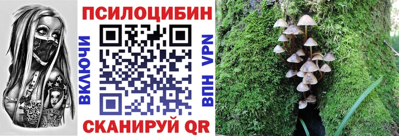 Псилоцибиновые грибы ЛСД где продают наркотики Приморско-Ахтарск