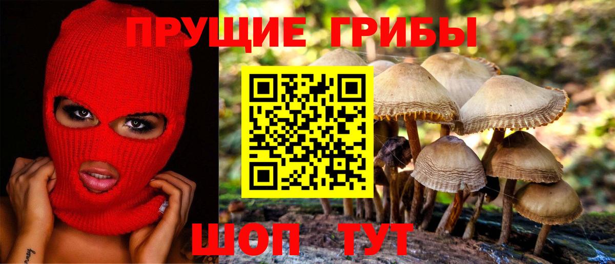 Галлюциногенные грибы мухоморы  Галлюциногенные грибы Magic Shrooms  Приморско-Ахтарск  Вход с VPN 